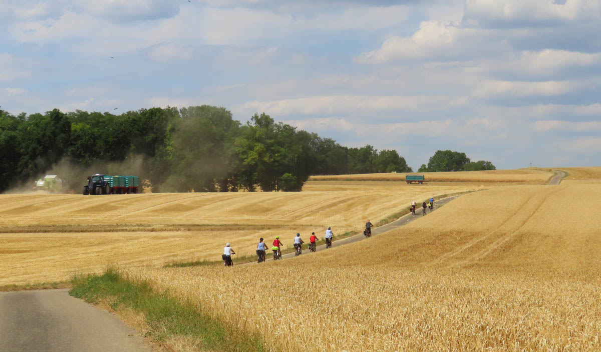 Land der tausend Hügel – Kornfelder