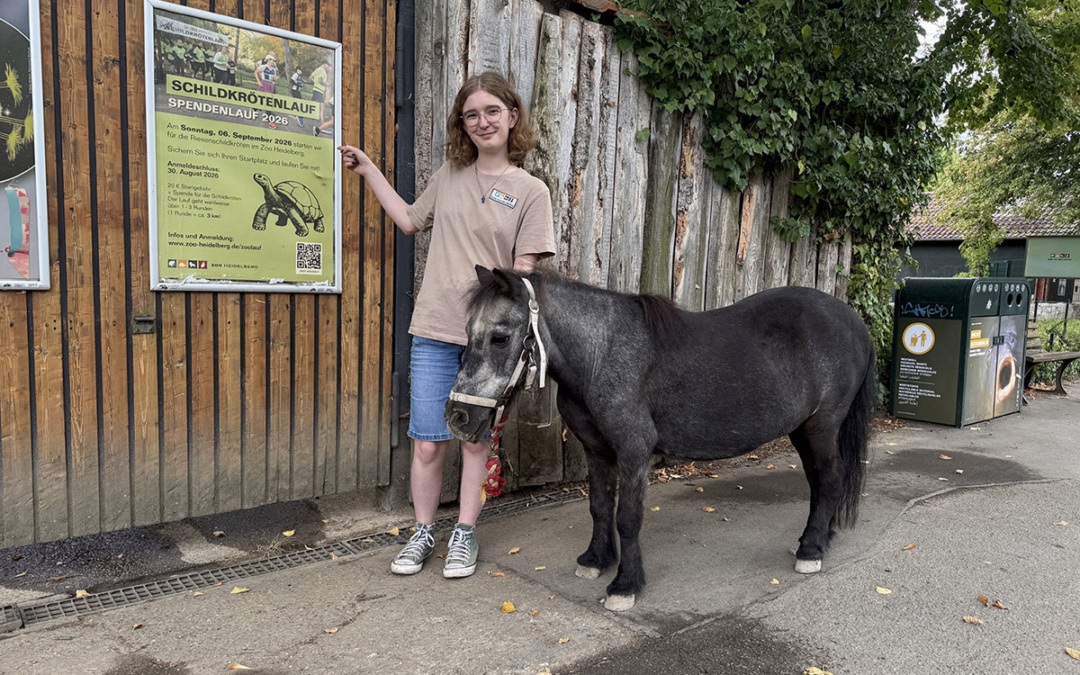 Pony Purzel testet die Strecke
