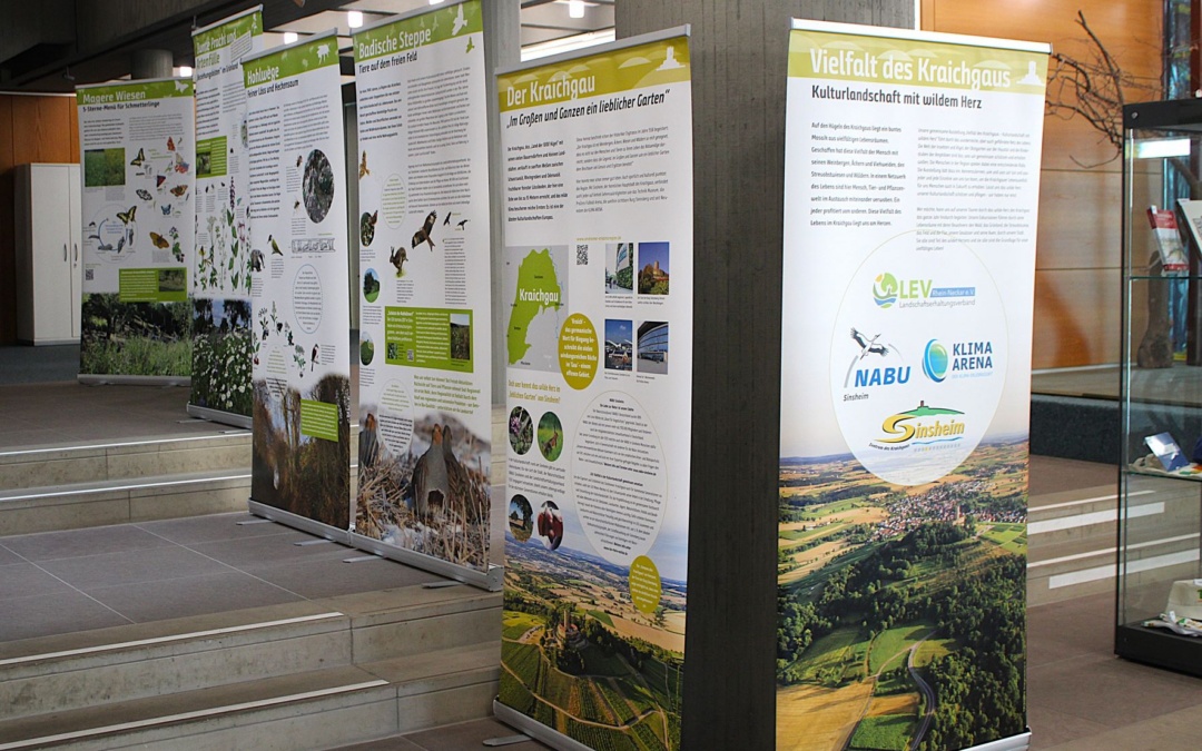 Ausstellung im Rathaus Walldorf gibt Einblicke in die „Viefalt des Kraichgaus“