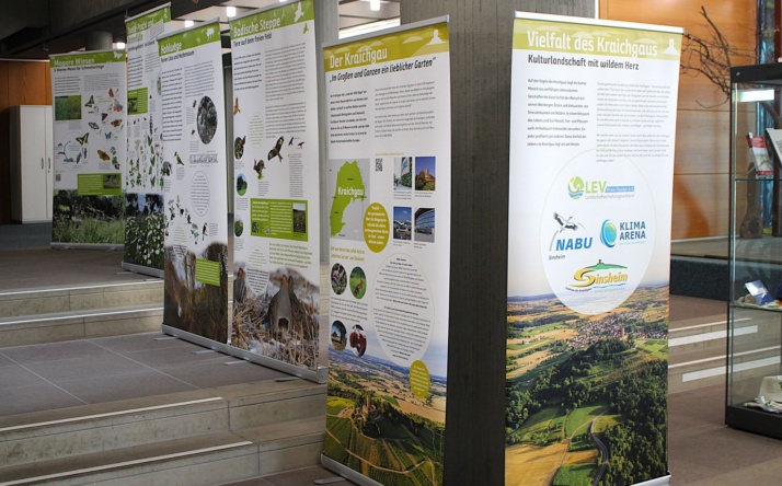 Ausstellung im Rathaus Walldorf gibt Einblicke in die „Viefalt des Kraichgaus“